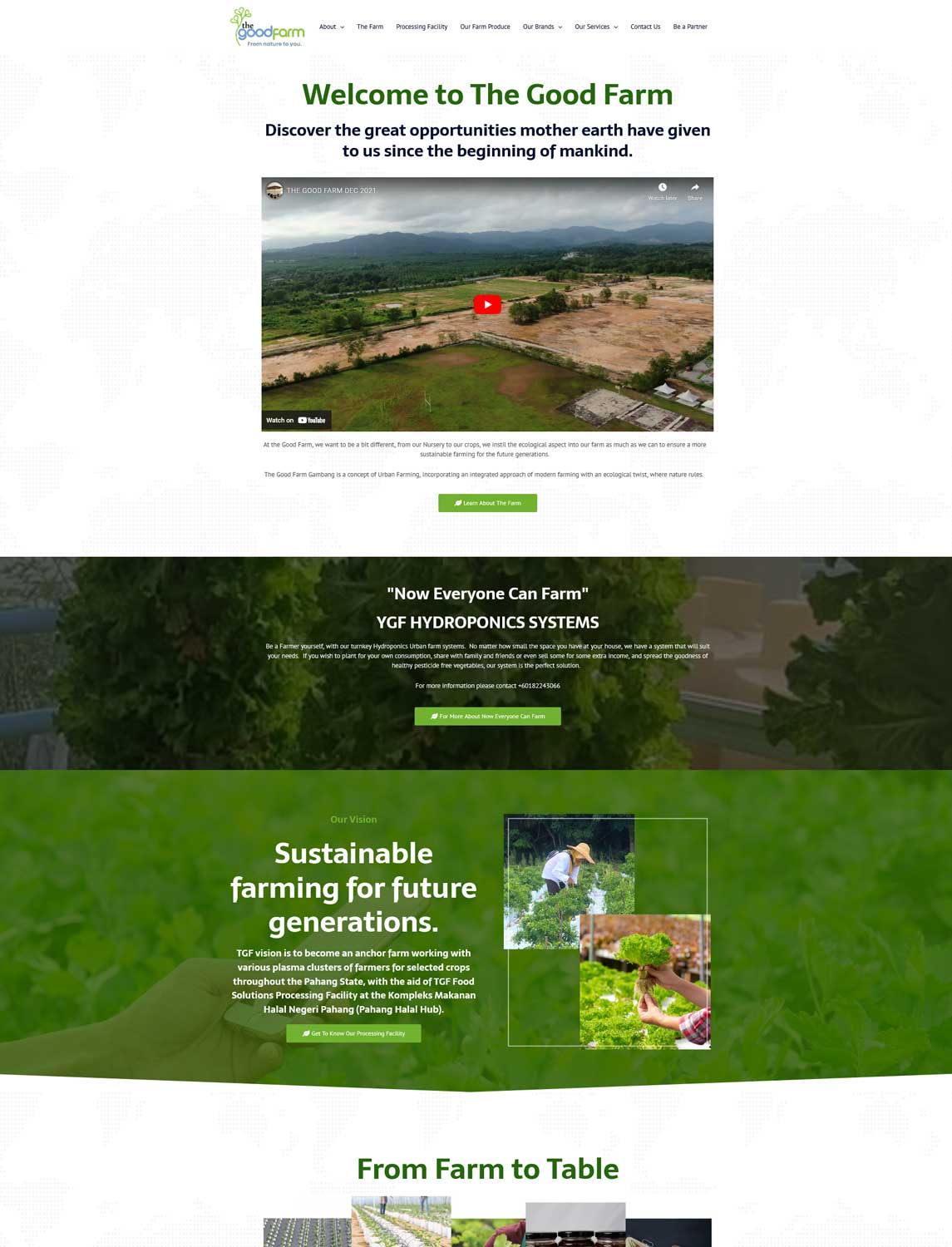 thumbnail-websites-design-tgf