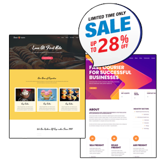 Website Design PLUS plan